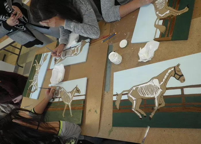 Panneau pédagogique, image 1