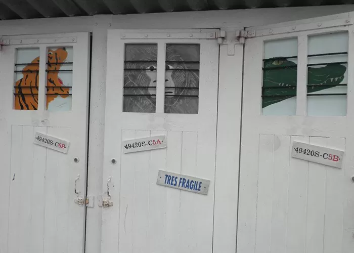 Trompe l'oeil, image 1