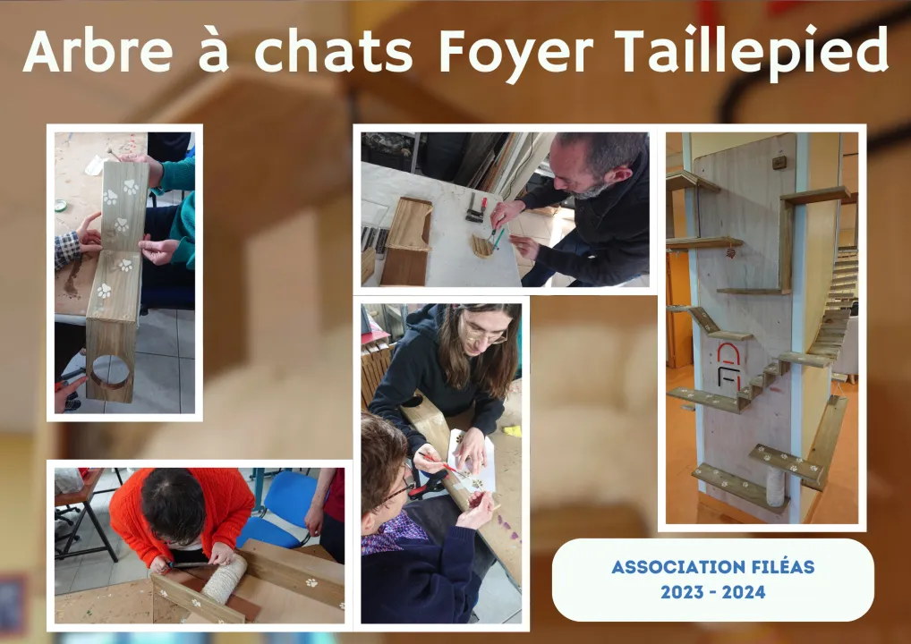 L'arbre à chats du FOYER TAILLEPIED, image 1